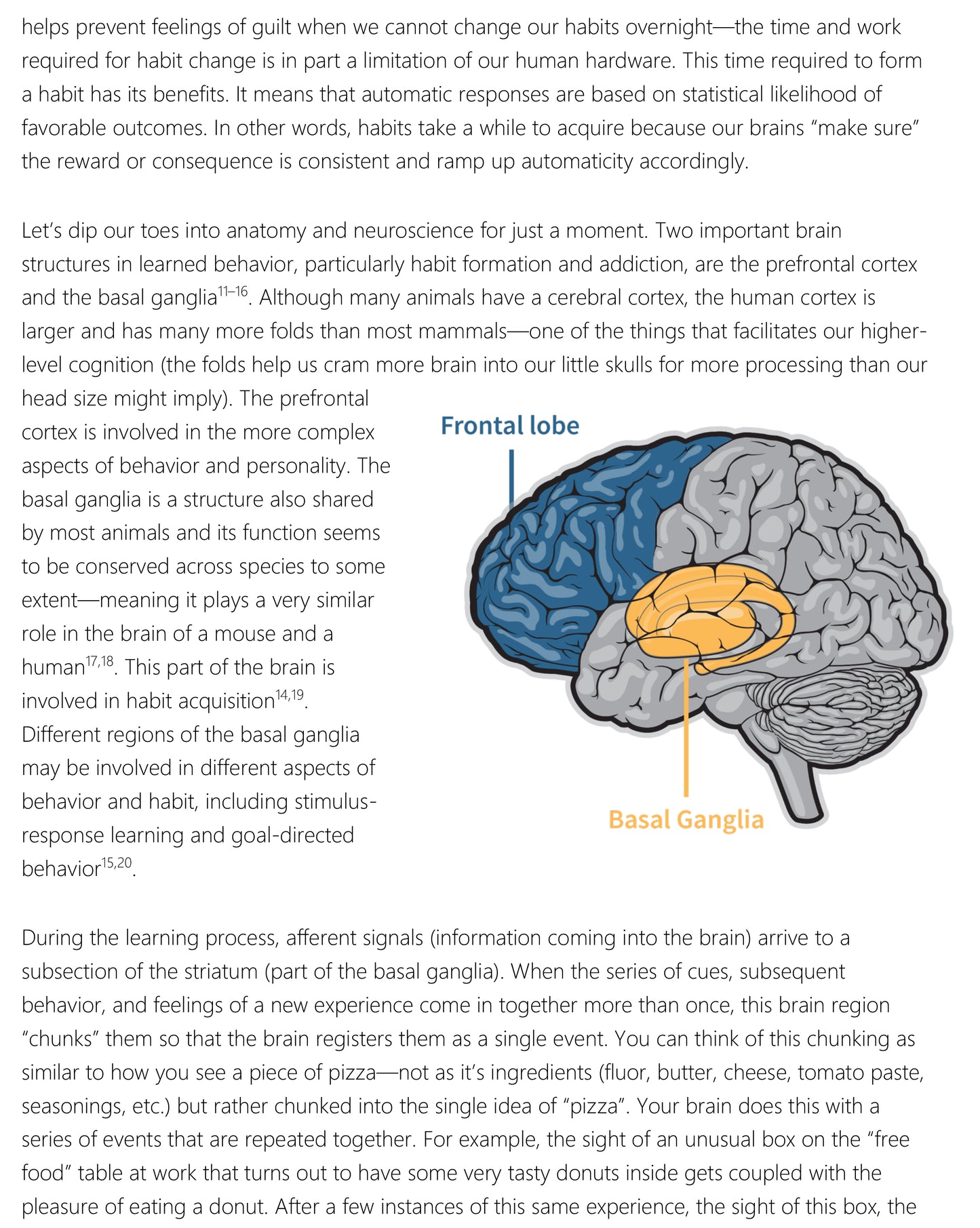 Evidence-Based Habit Building; Finally Get Sh*t Done - EBOOK