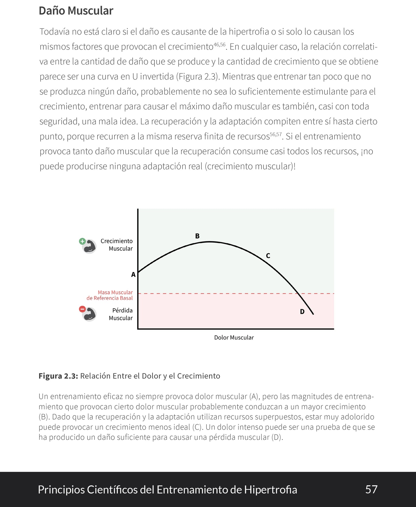 Principios Cientificos del Entrenamiento de Hipertrofia - EBOOK