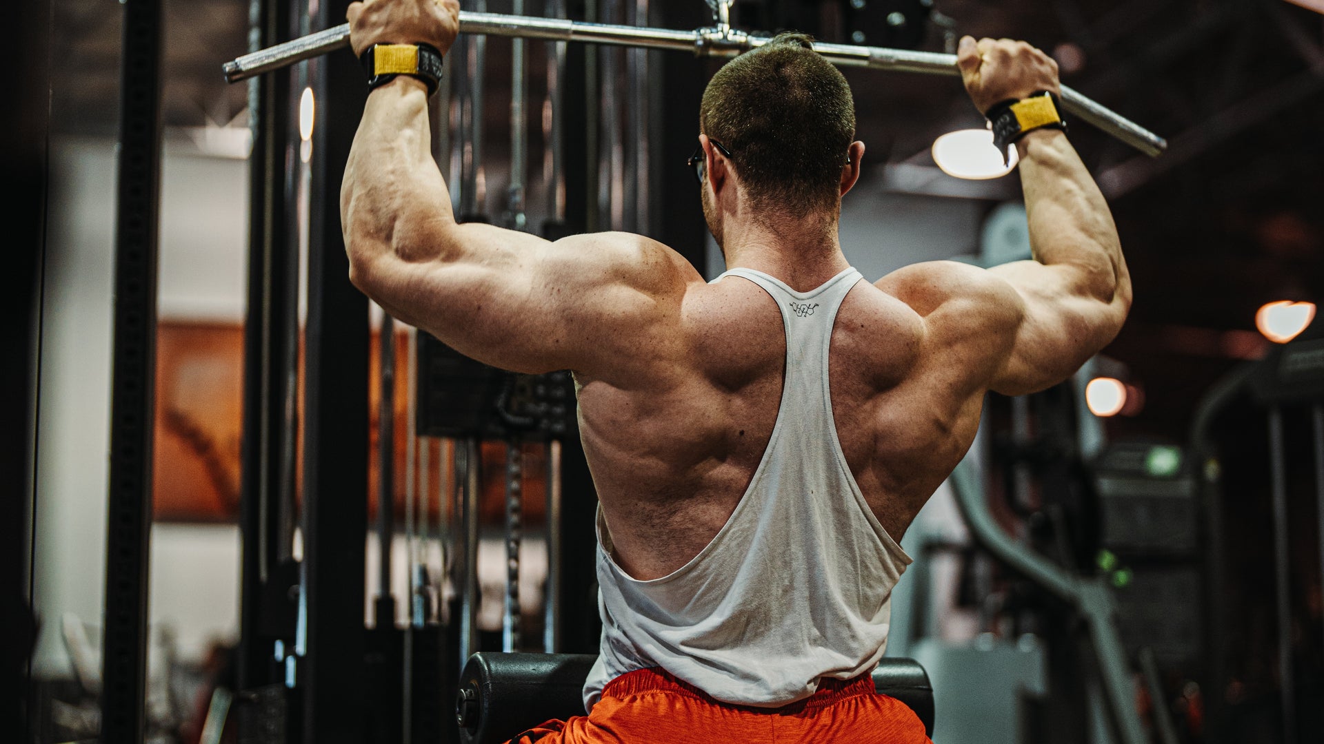https://rpstrength.com/cdn/shop/articles/Back_Cover.jpg?v=1707160796&width=1920