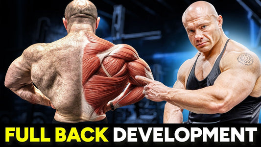 The Complete Back Training Blueprint: 4 Exercise Categories You Need
