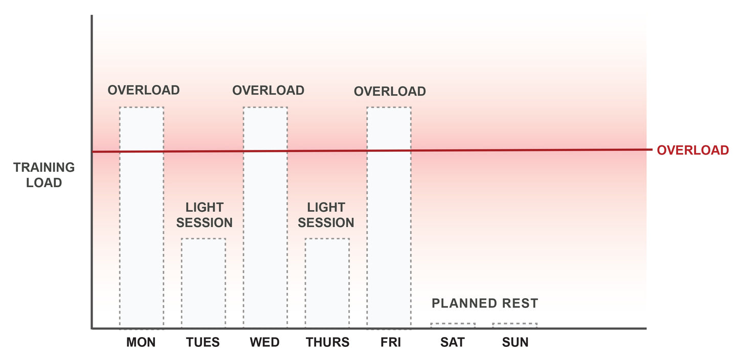 Recovering From Training - EBOOK